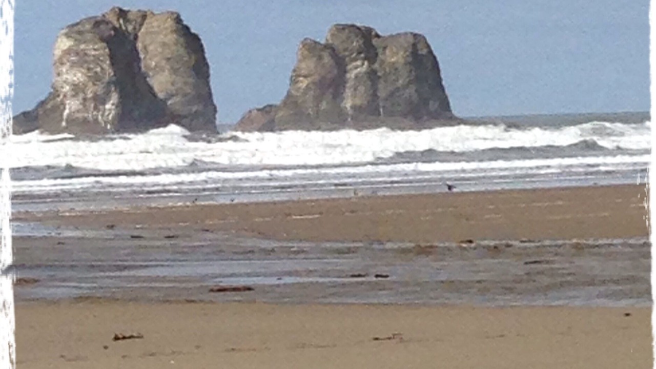 Photo of Others in Rockaway Beach