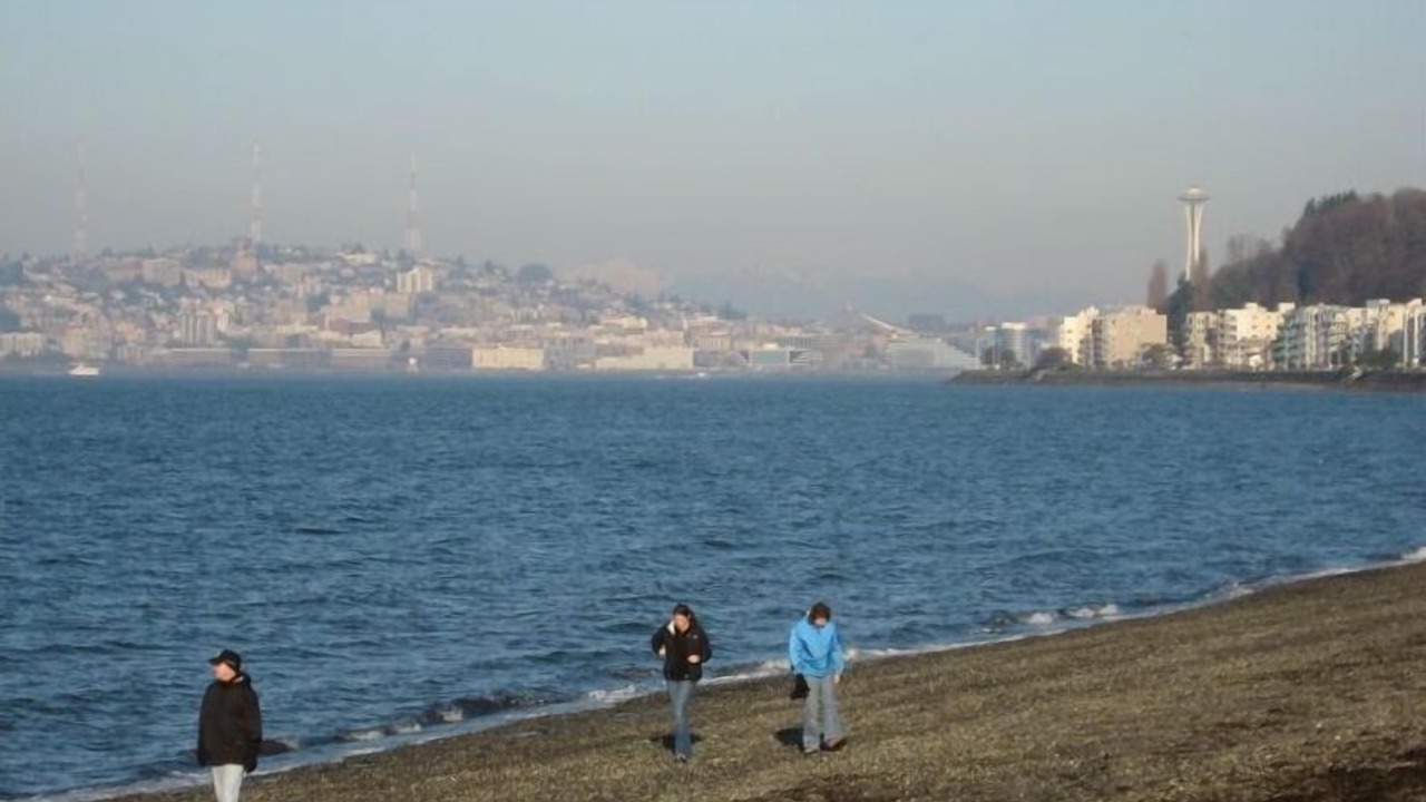 Photo of Others in Alki