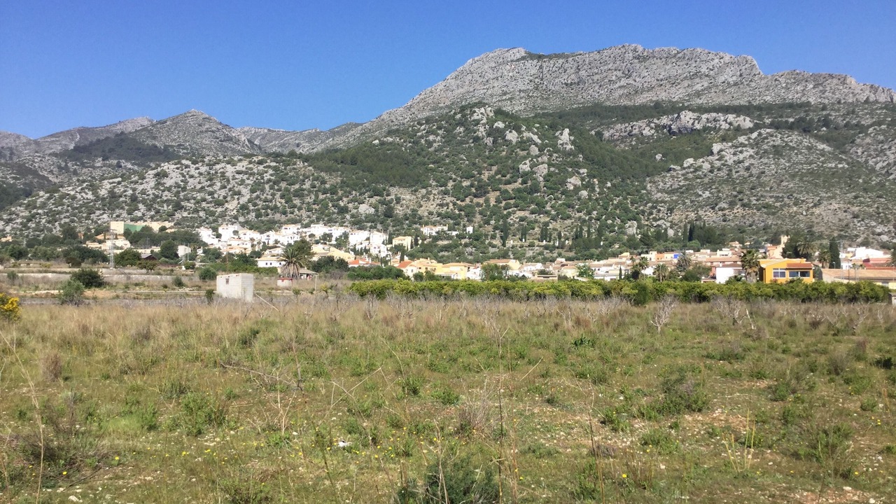 Photo of Others in Tormos