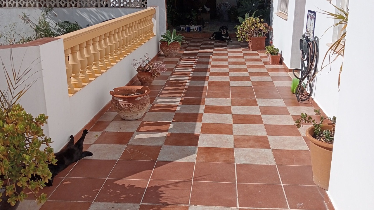 Photo of Outdoor in Tormos