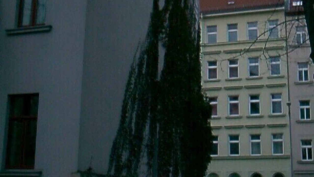Photo of Outdoor in Gohlis-Mitte
