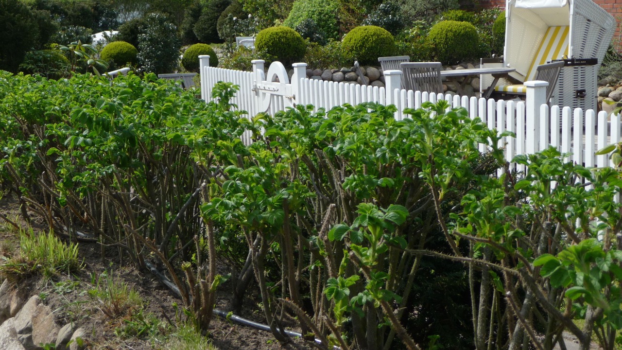 Photo of Outdoor in Westerland
