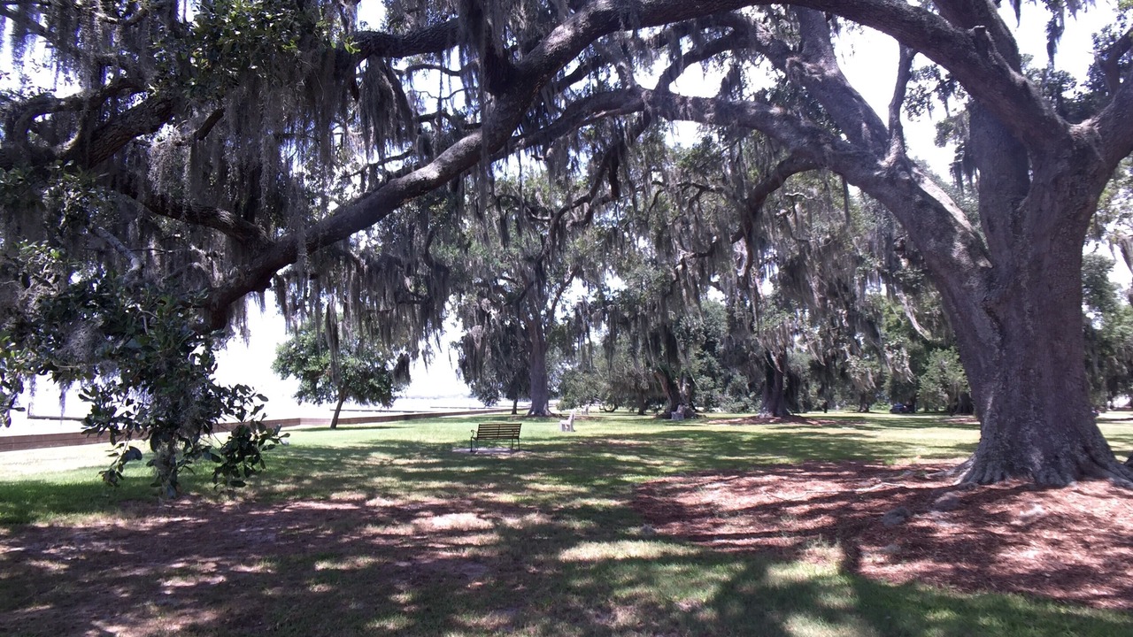 Photo of Others in Mandeville