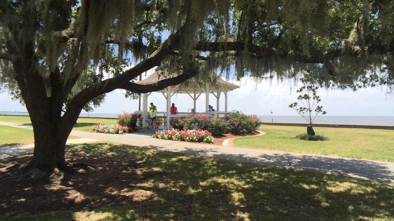 Photo of Outdoor in Mandeville