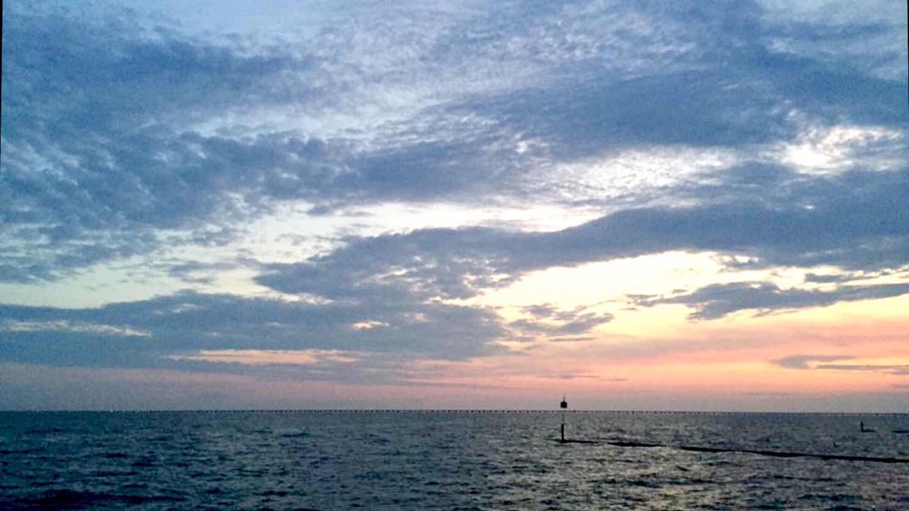 Photo of Others in Mandeville