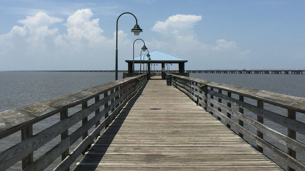 Photo of Others in Mandeville