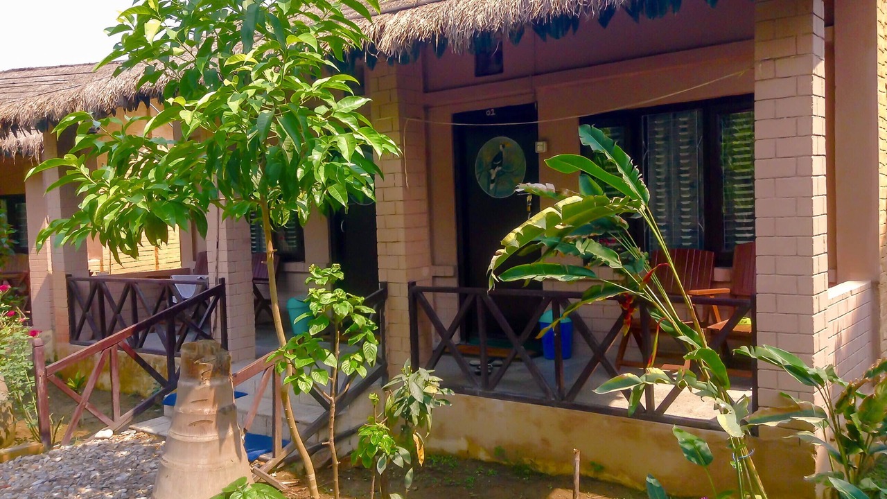 Photo of Outdoor in Sauraha