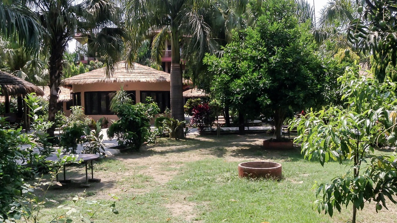 Photo of Outdoor in Sauraha