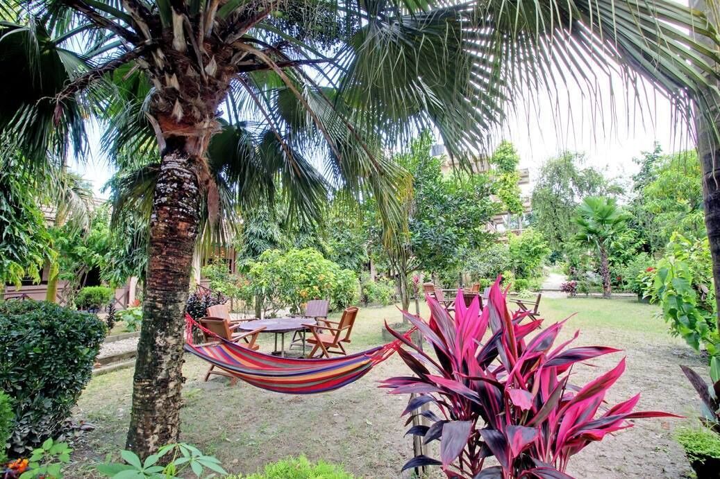 Photo of Outdoor in Sauraha