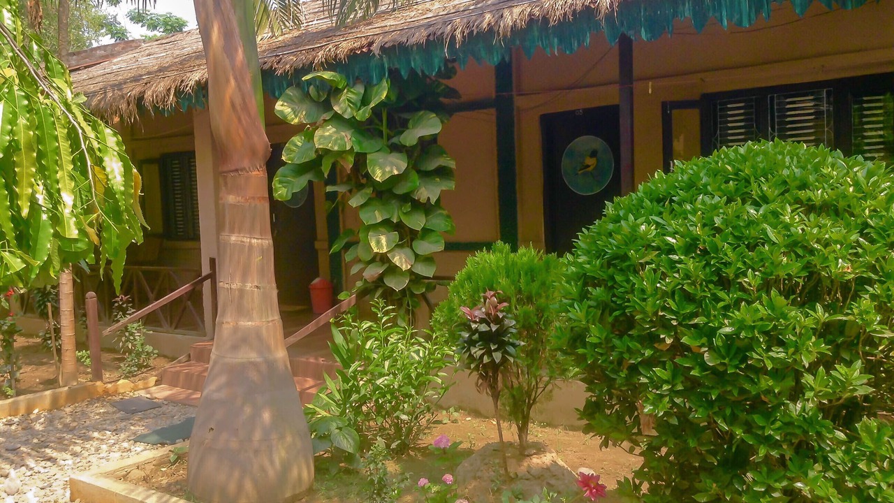 Photo of Outdoor in Sauraha