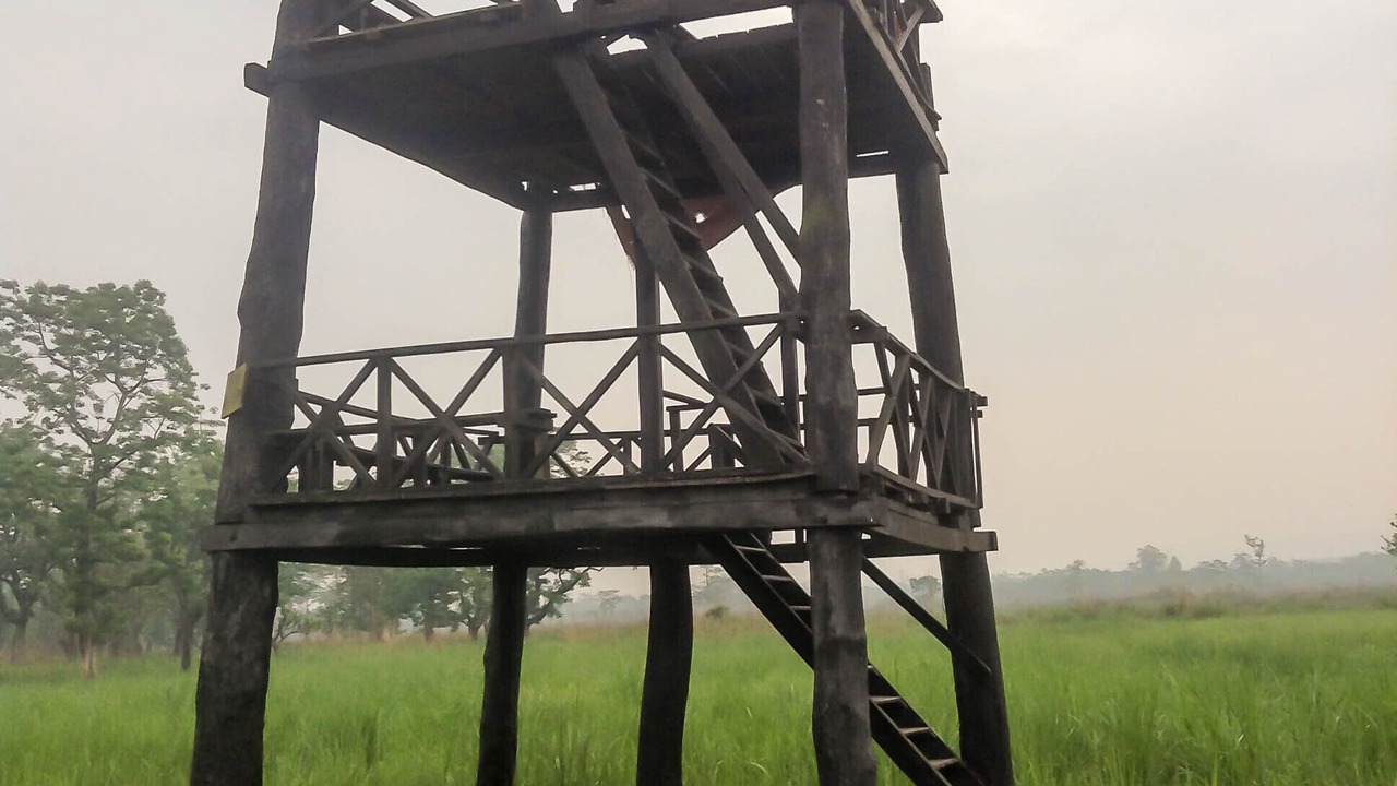 Photo of Outdoor in Sauraha