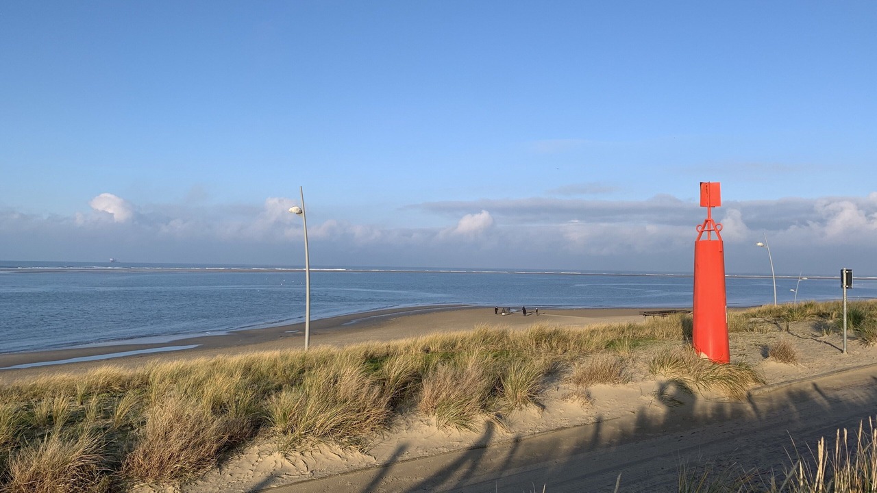 Photo of Others in Borkum