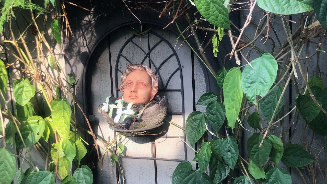 Photo of Outdoor in Lakeview