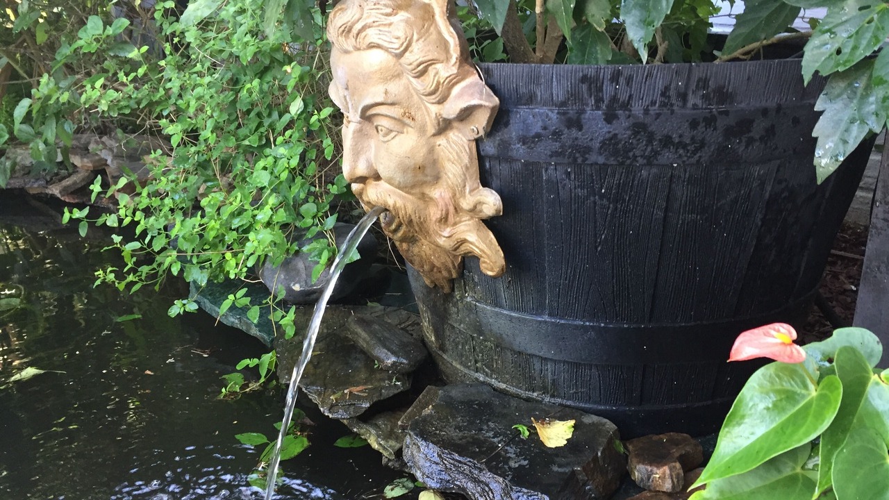 Photo of Outdoor in Lakeview