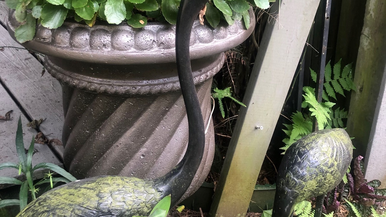 Photo of Outdoor in Lakeview