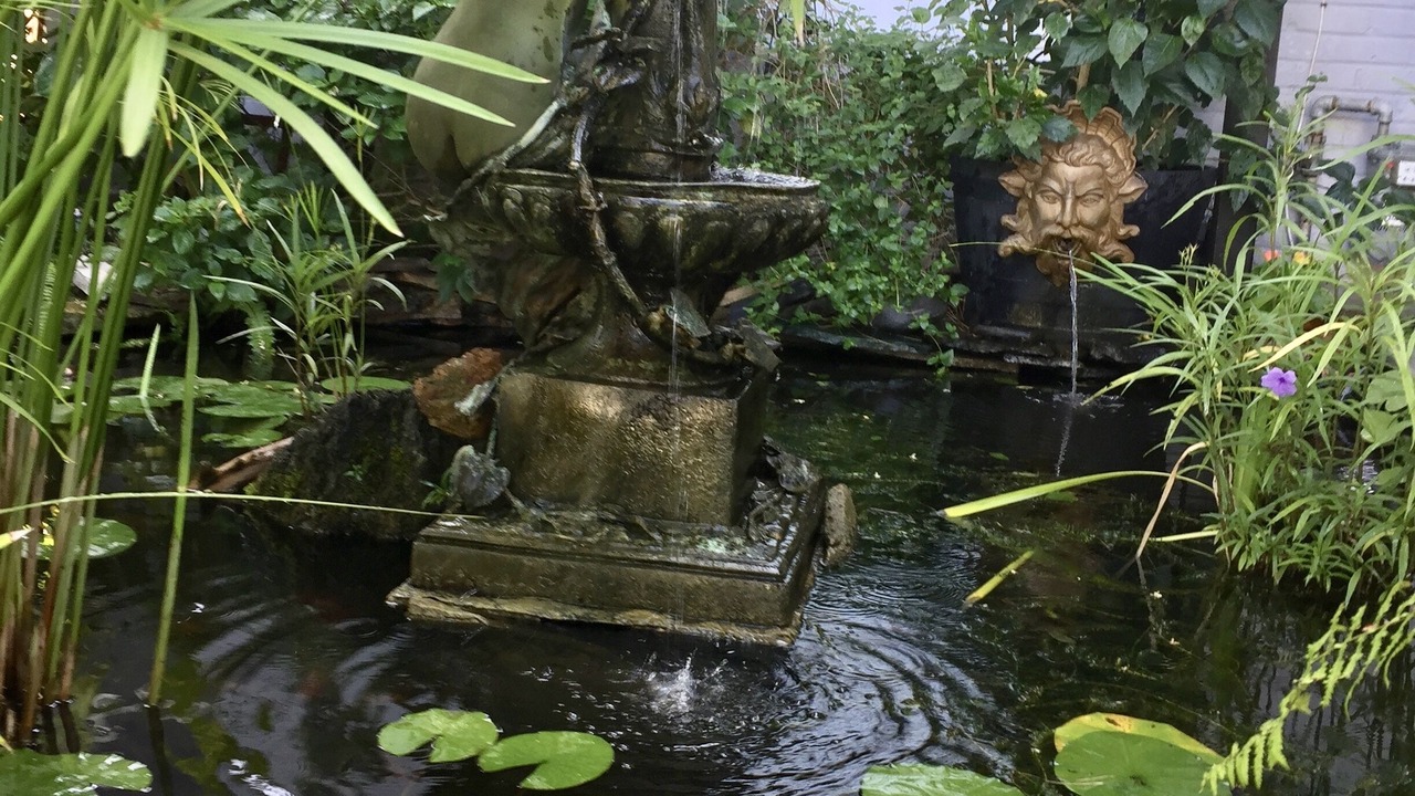 Photo of Outdoor in Lakeview