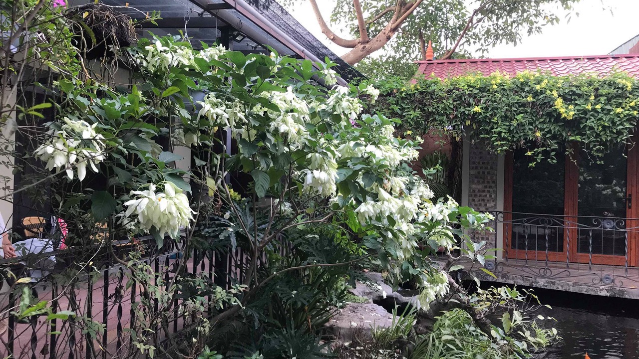 Photo of Outdoor in Yen Phu