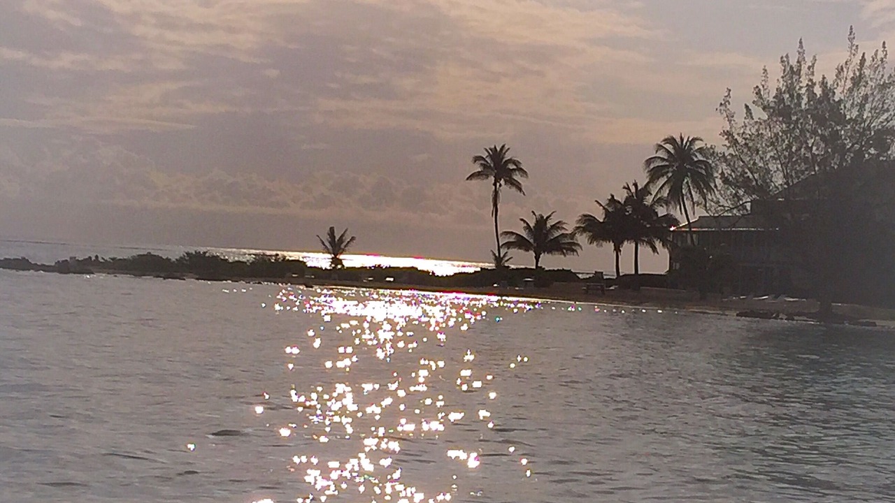 Photo of Outdoor in Rum Point