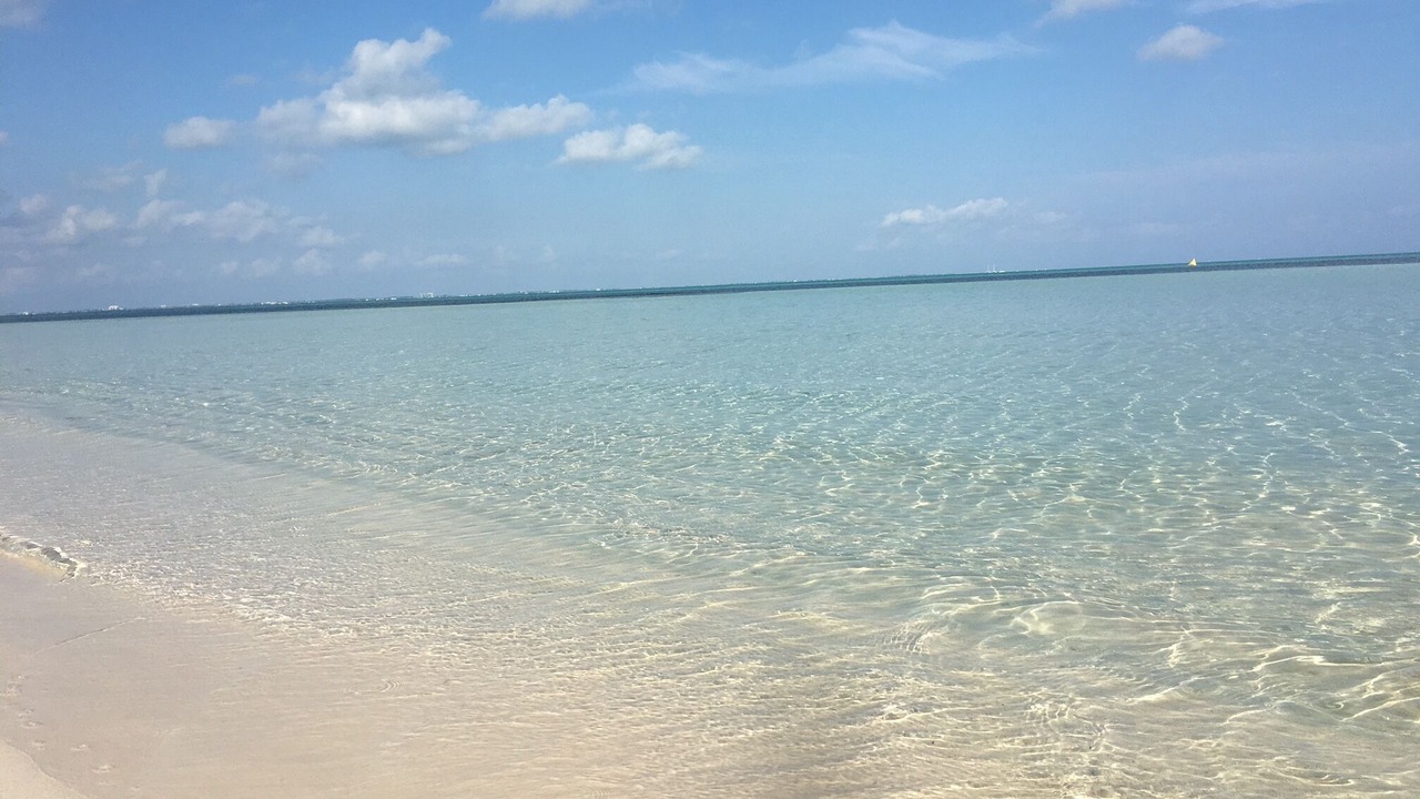Photo of Others in Rum Point
