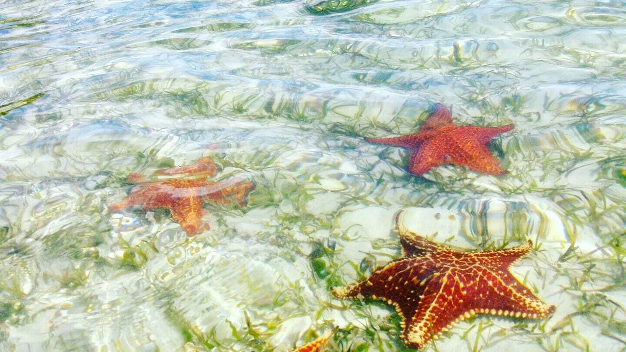 Photo of Others in Rum Point