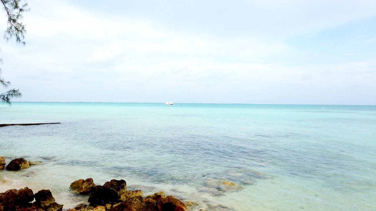Photo of Others in Rum Point
