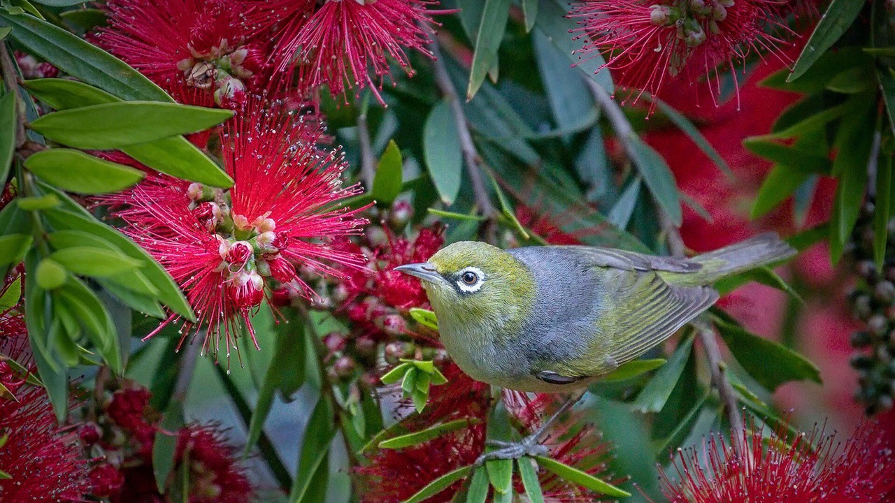 Photo of Outdoor in Wye River