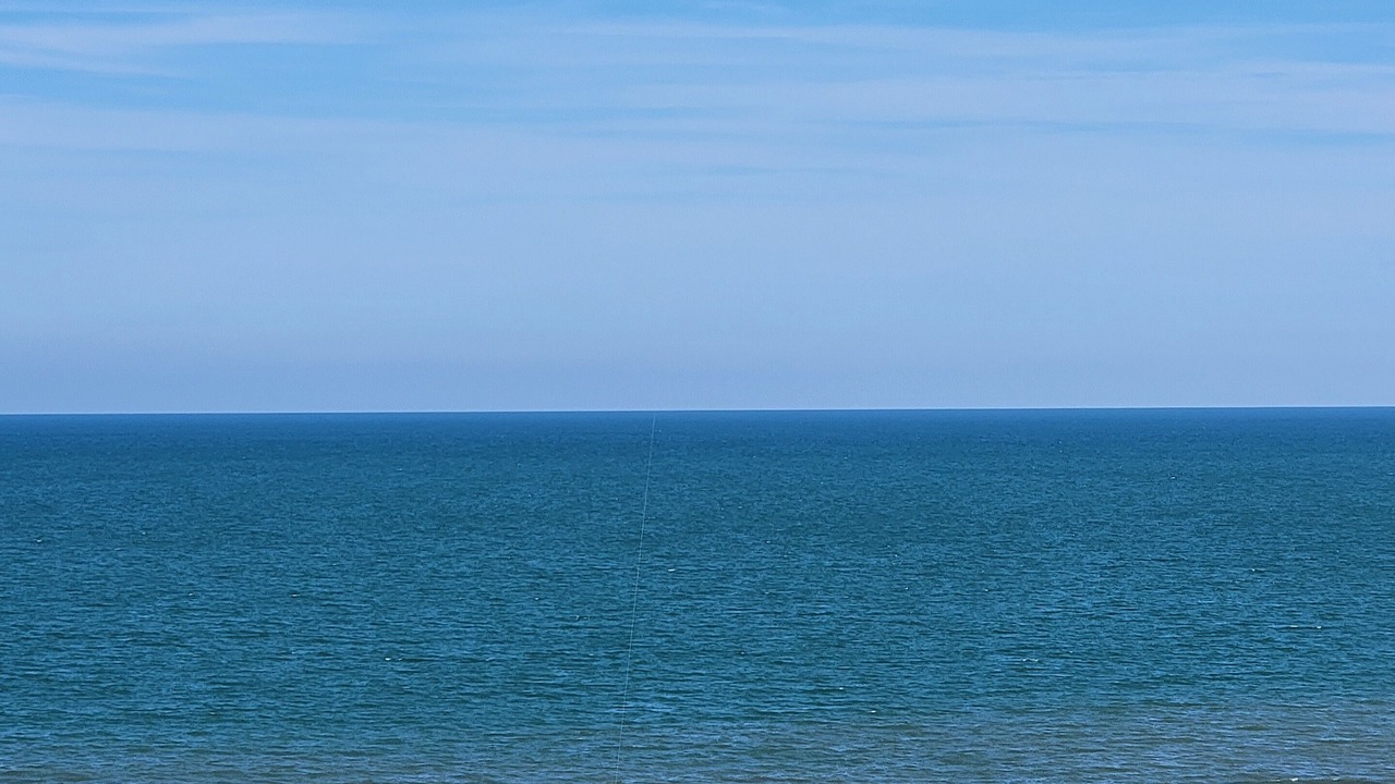 Photo of Others in Myrtle Beach