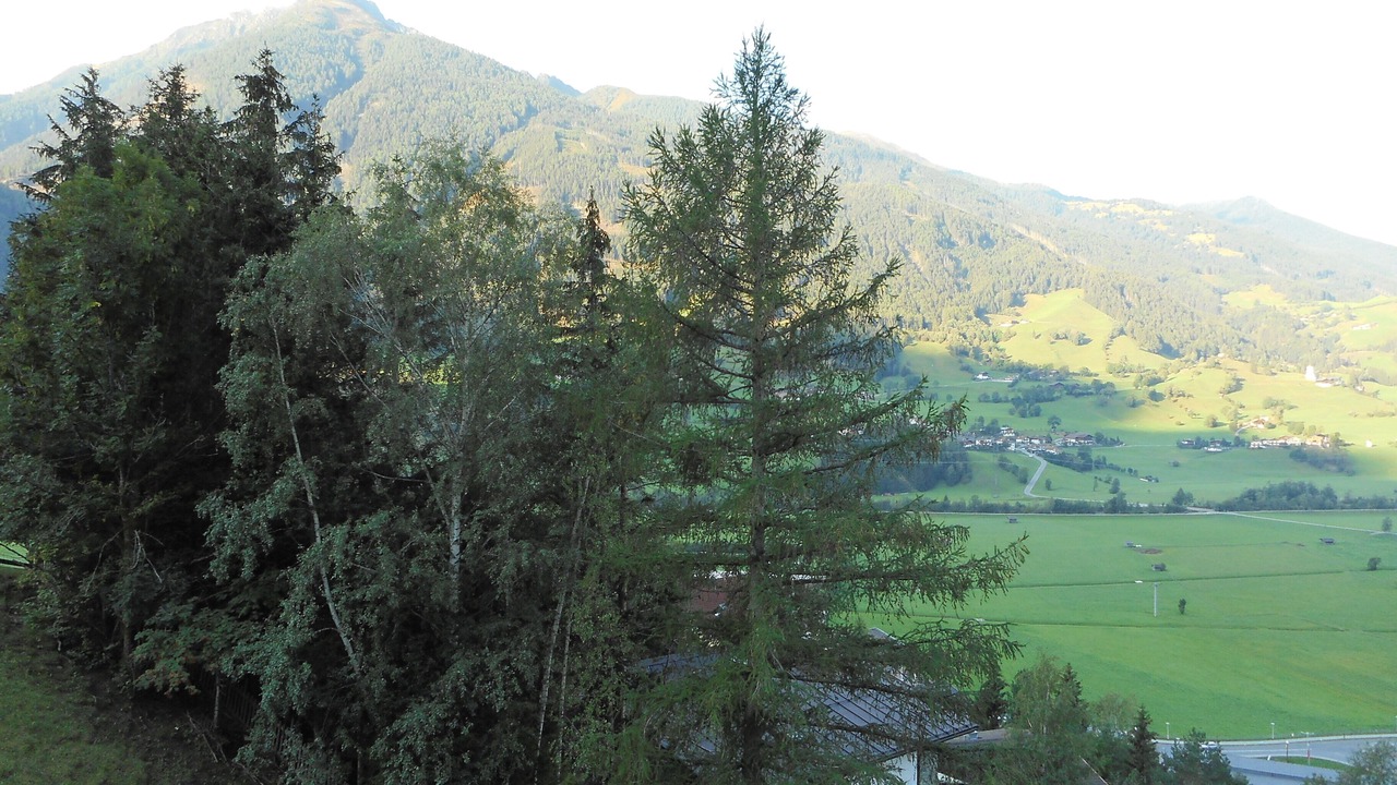 Photo of Outdoor in Seblas
