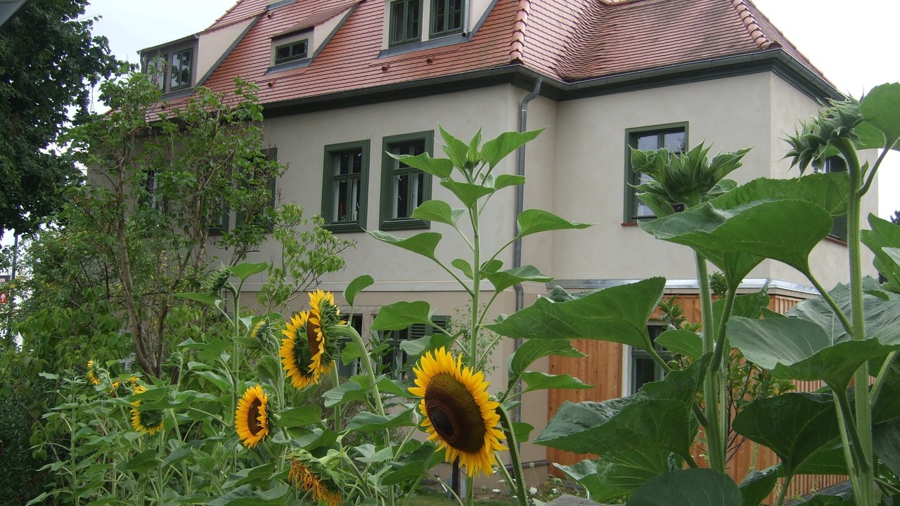 Photo of Outdoor in Oberloßnitz