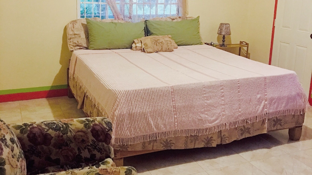 Photo of Bedroom in Port Antonio
