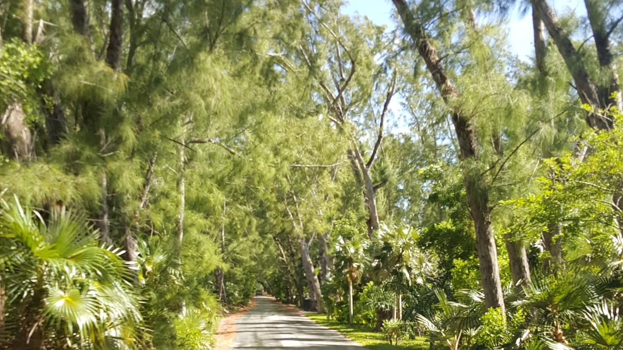 Photo of Others in Savannah Sound