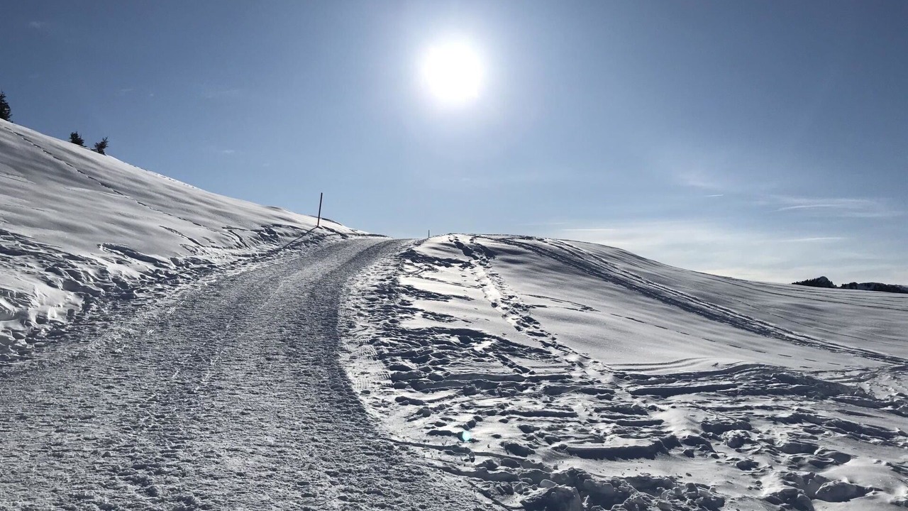Photo of Others in Riederalp