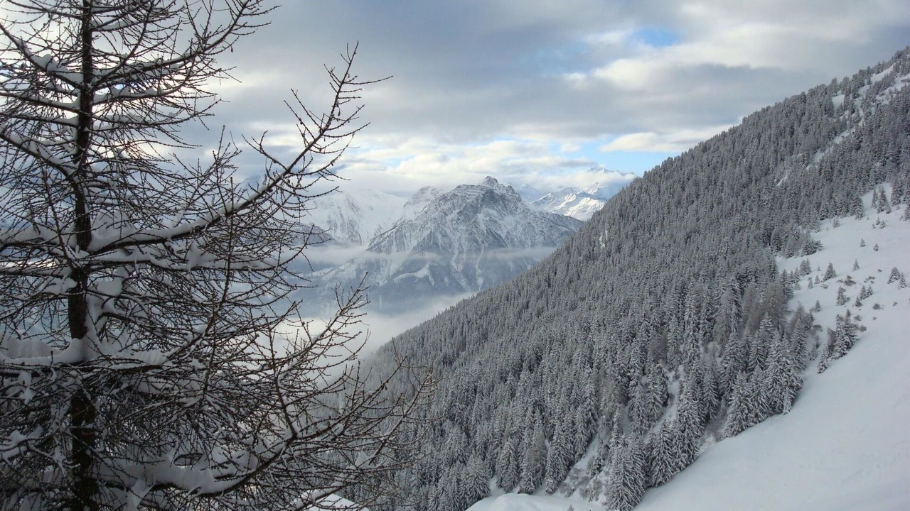 Photo of Others in Riederalp