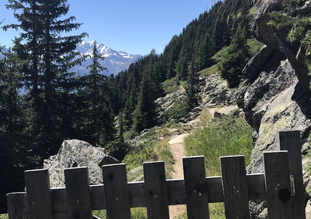 Photo of Others in Riederalp