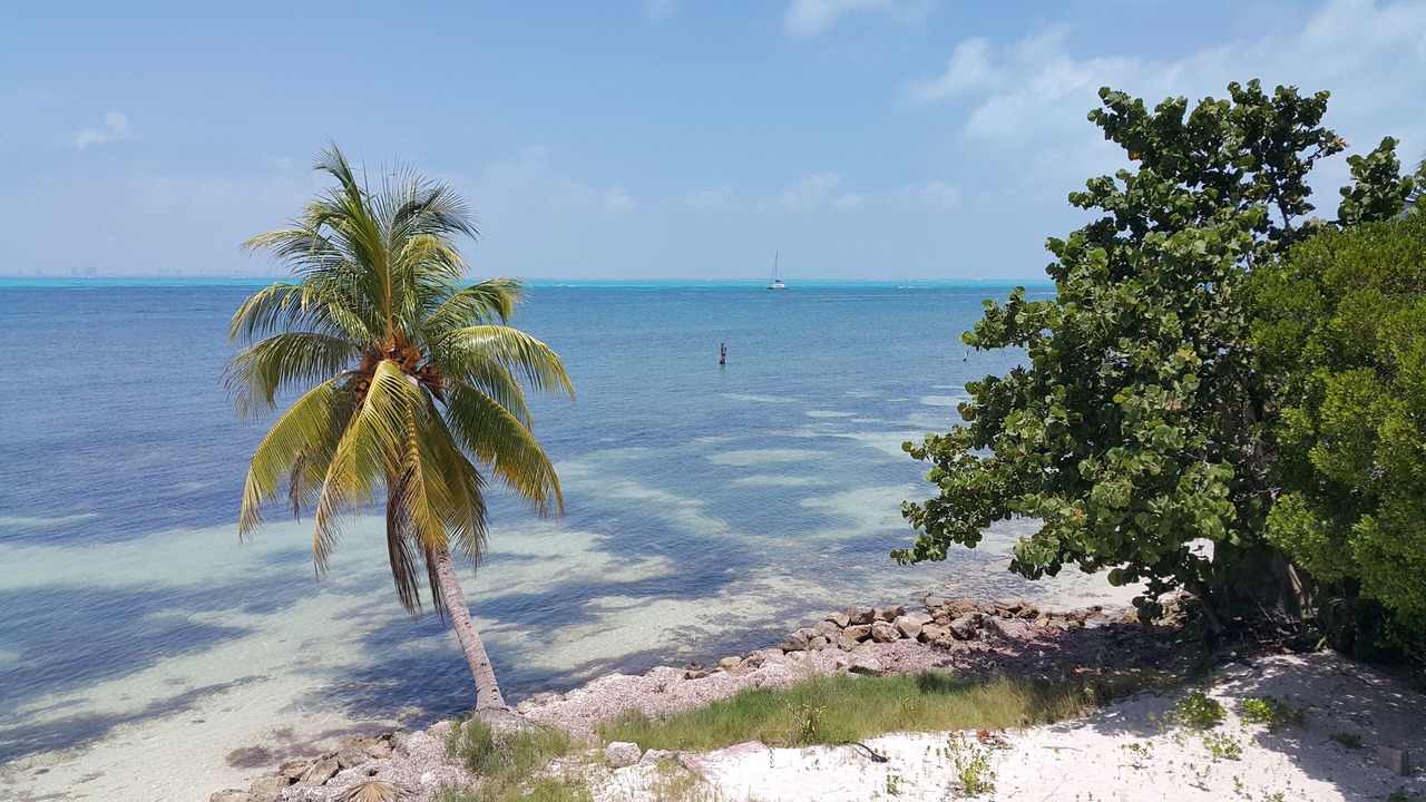 Photo of Others in Isla Mujeres
