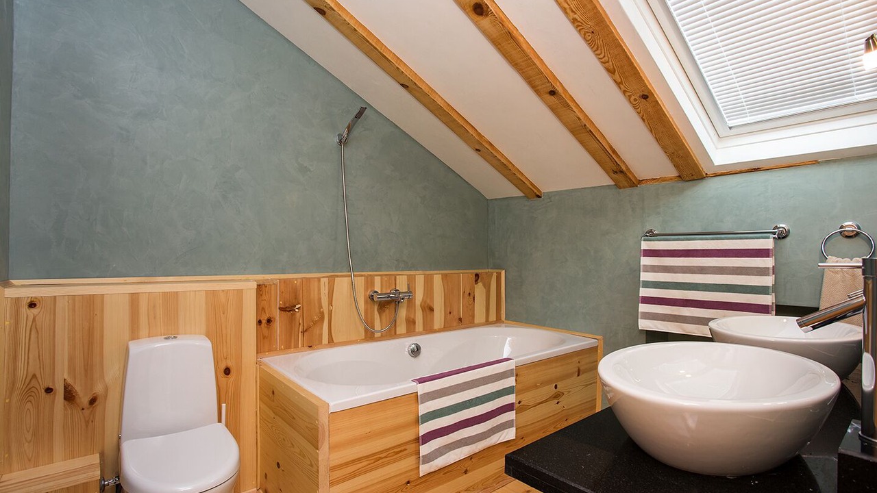Photo of Bathroom in Dubnitsa