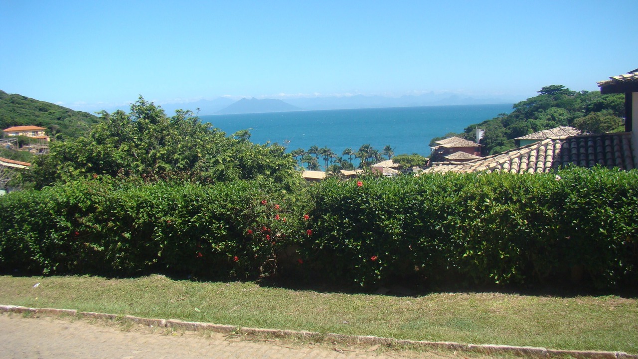Photo of Others in Joao Fernandes