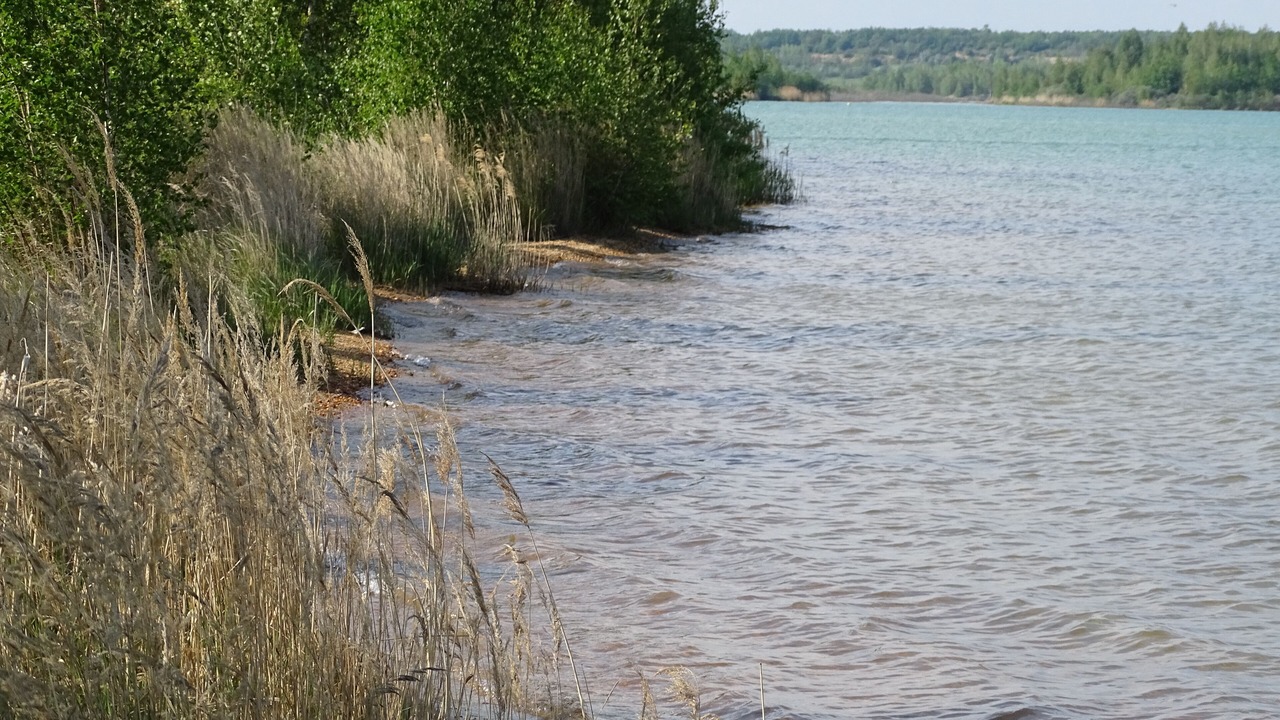 Photo of Others in Grossposna