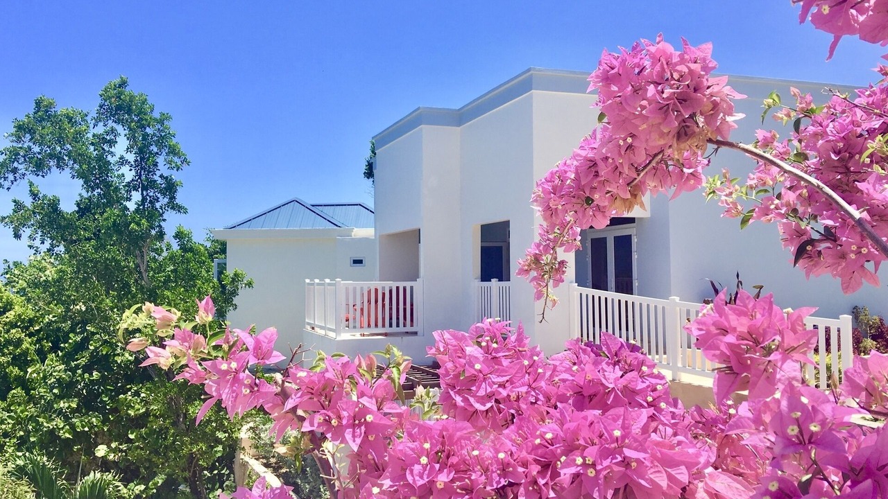 Photo of Outdoor in Boscobel