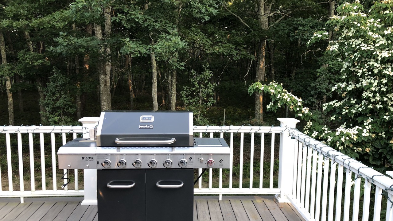 Photo of Outdoor in Hampton Bays