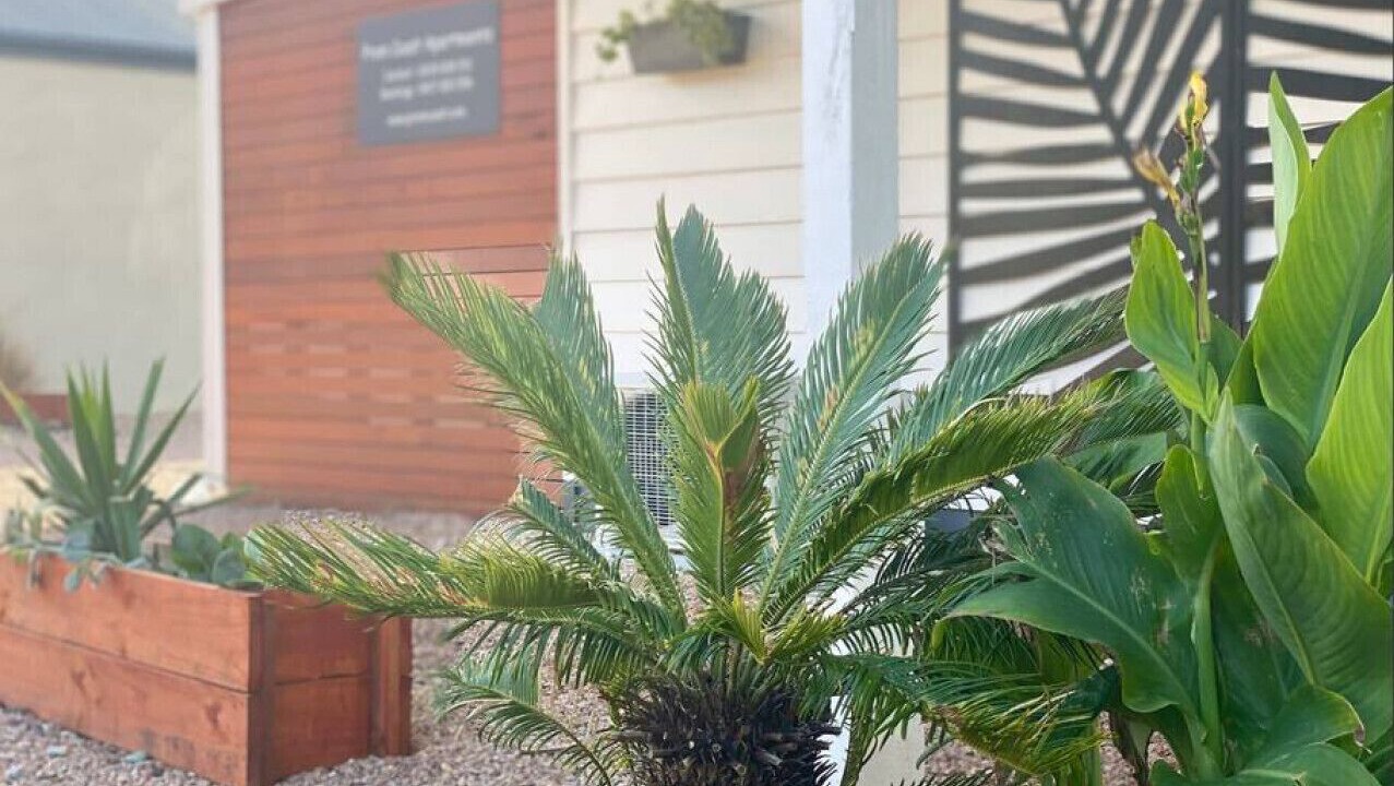 Photo of Outdoor in Sandy Point