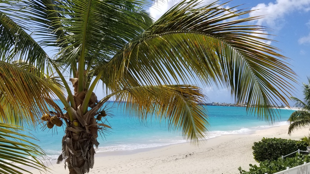 Photo of Others in Simpson Bay