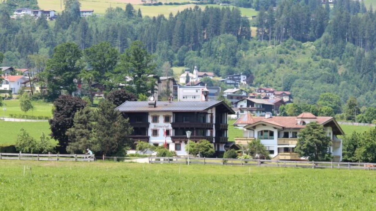 Photo of Others in Kapfing