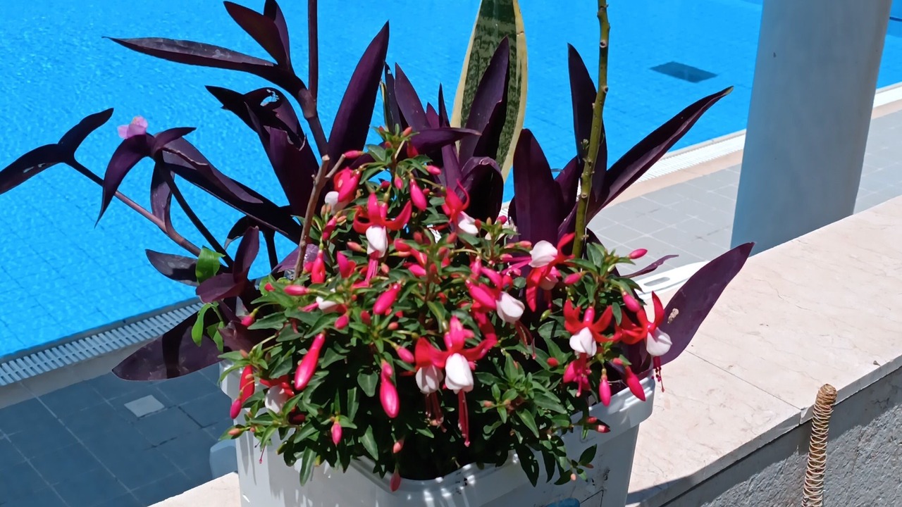 Photo of Outdoor in Herzliya Pituach