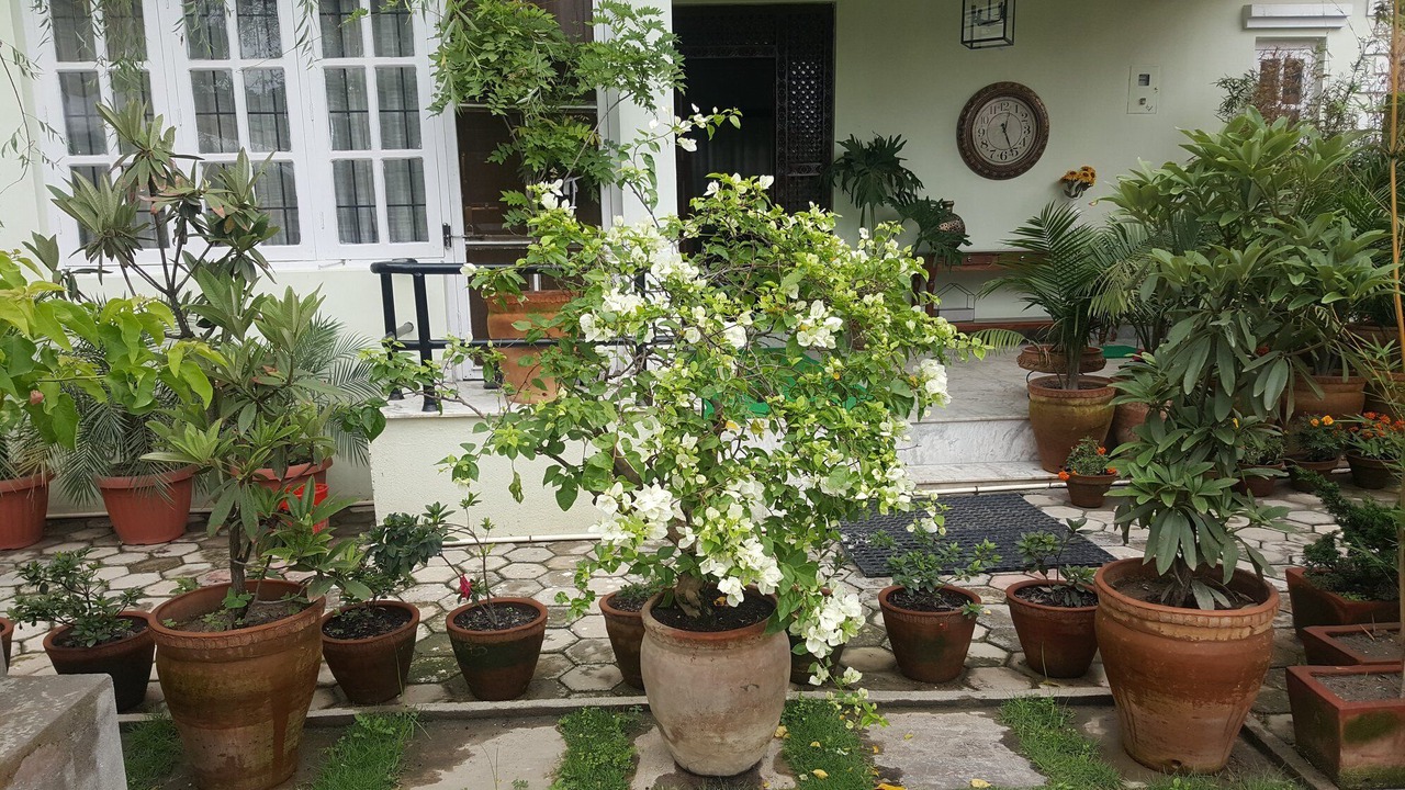 Photo of Outdoor in Kathmandu