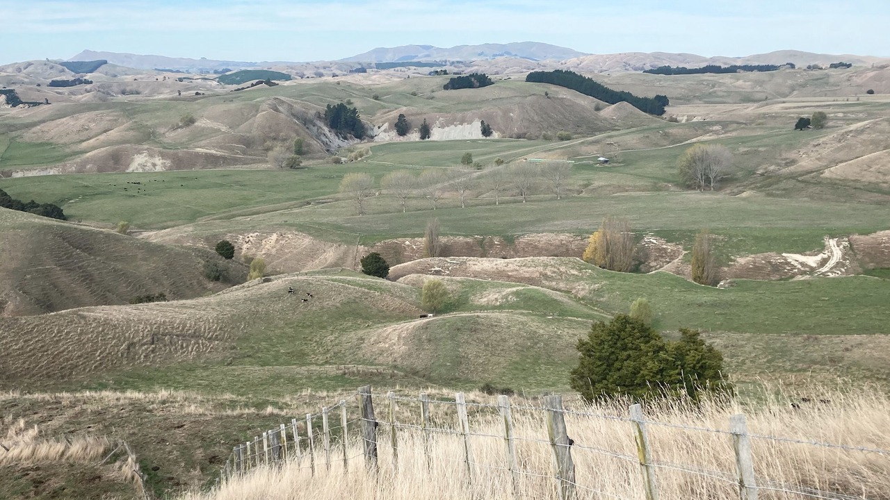 Photo of Others in Waipukurau