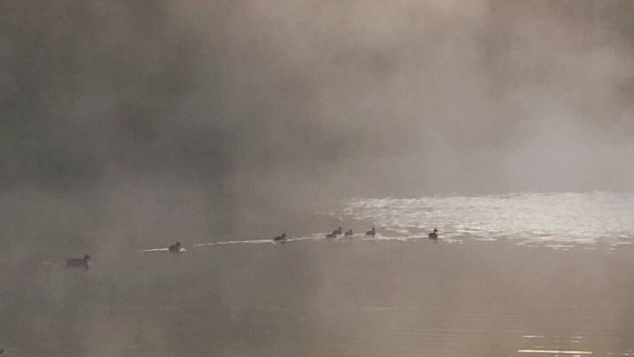 Photo of Others in Collinsville