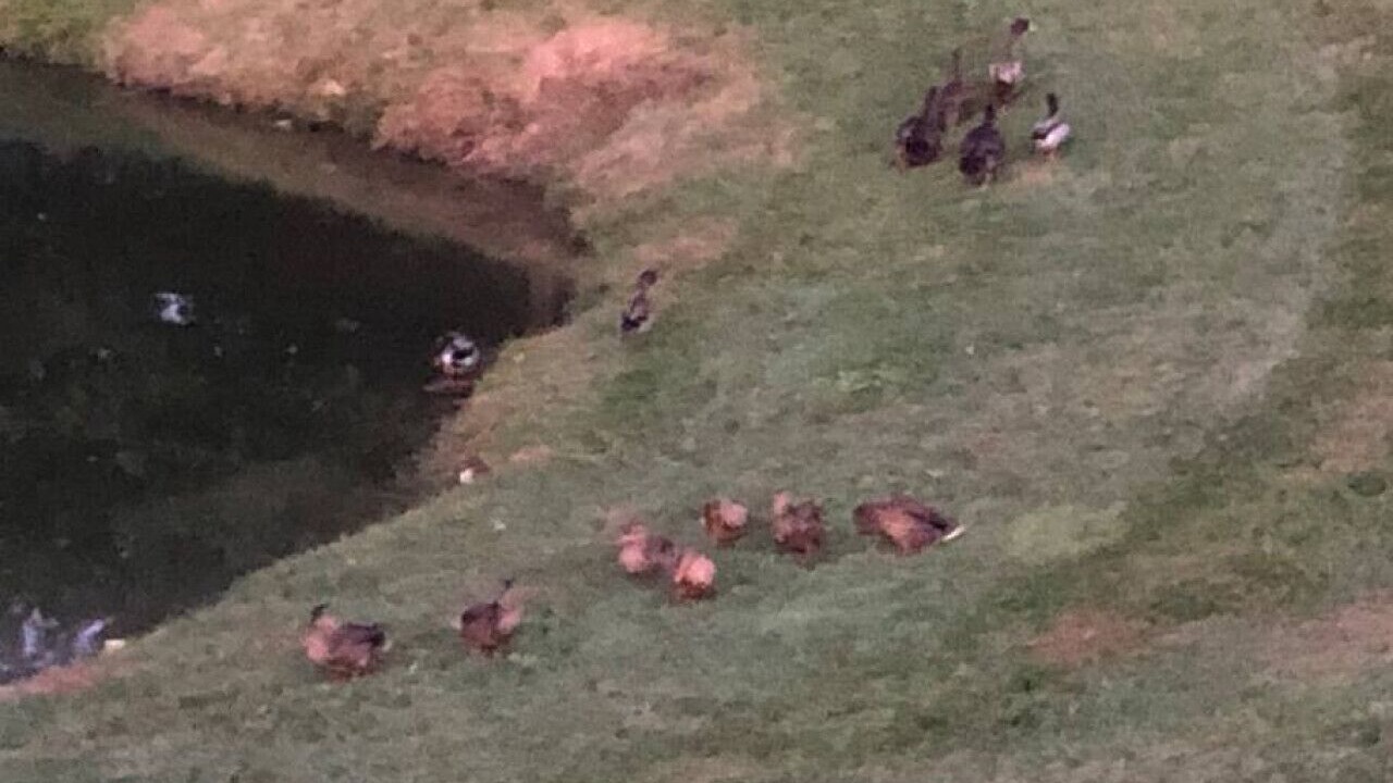 Photo of Outdoor in Collinsville