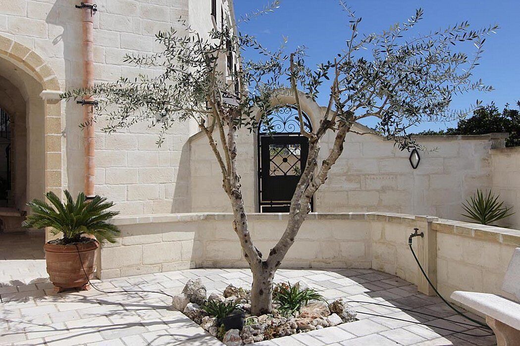 Photo of Patio Balcony in Diso