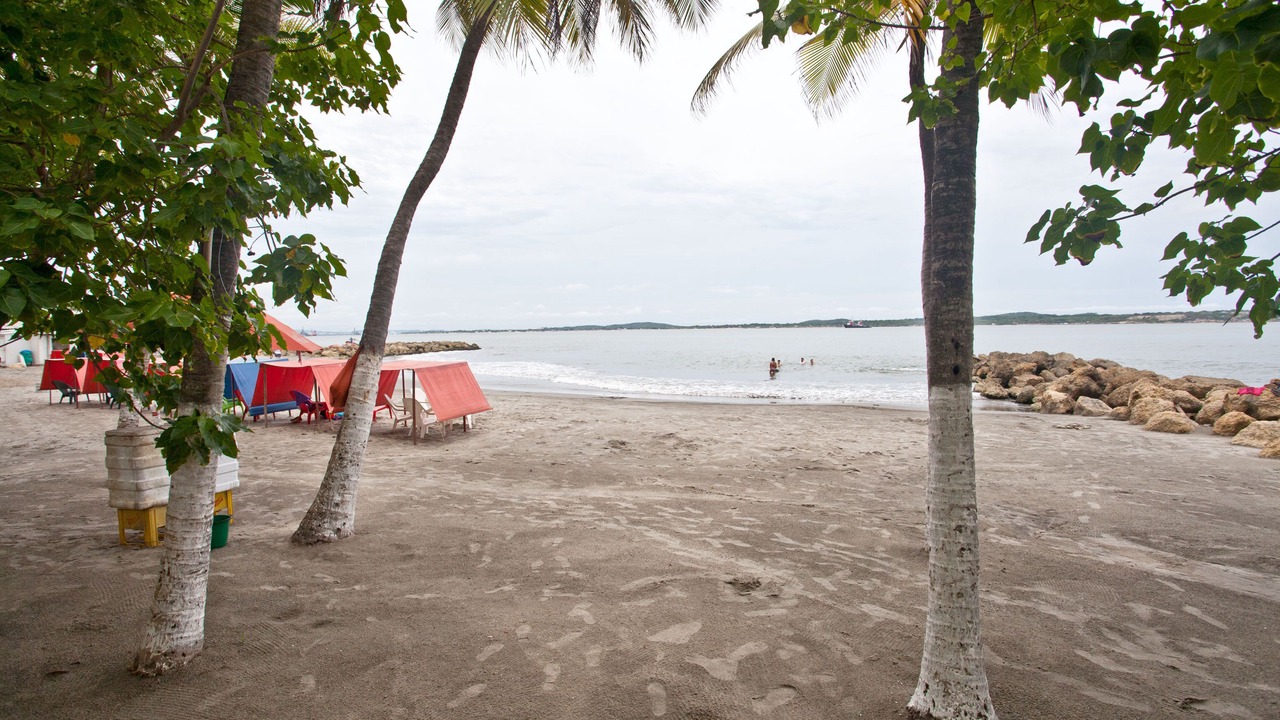 Photo of Others in El Laguito